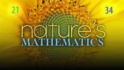 Nature's Mathematics