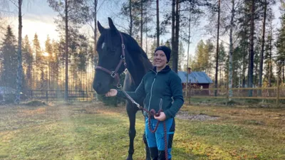 Elisa och drömhästen