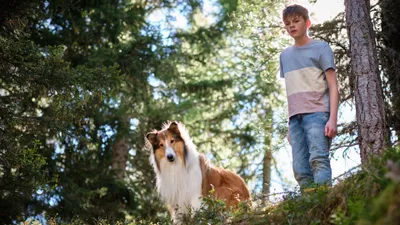 Lassie: A New Adventure