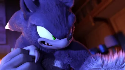 Sonic: Night of the Werehog