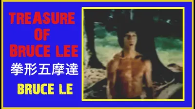 Treasure of Bruce Le