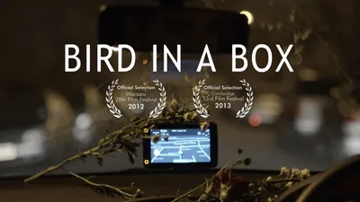 Bird in a Box