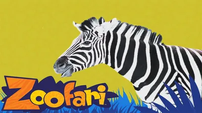 Zoofari