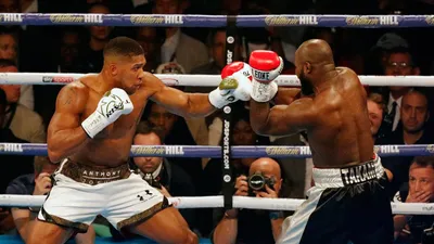 Anthony Joshua vs. Carlos Takam