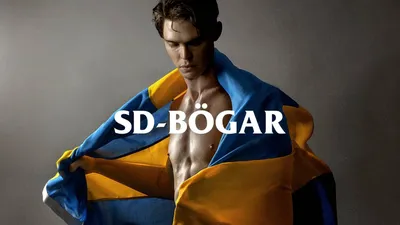 SD-Bögar