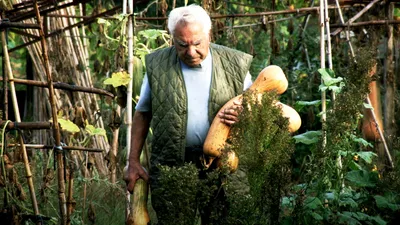 Le potager de mon grand-père