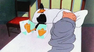 Daffy Duck Slept Here