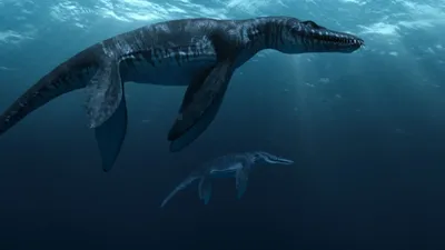 Sea Rex 3D: Journey to a Prehistoric World