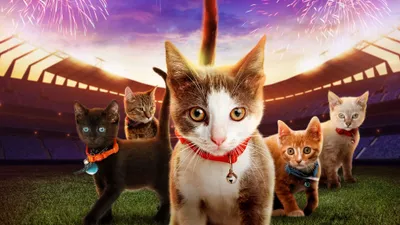 Kitten Bowl VII