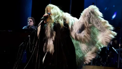 Stevie Nicks: Live in Concert - The 24 Karat Gold Tour