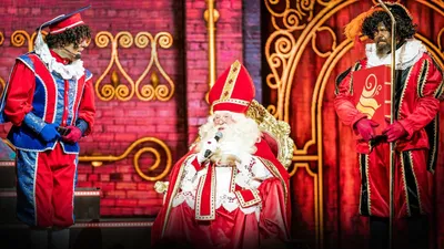 De Grote Sinterklaasshow @Home