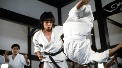 Kotaro, An Audacious Karate Boy