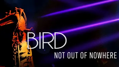 Bird: Not Out Of Nowhere