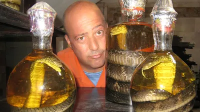 Andrew Zimmern's Bizarre World