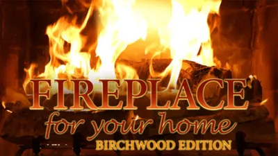 Fireplace for Your Home: Birchwood Edition