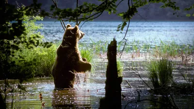 Plitvice - Land of Falling Lakes