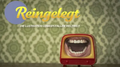 Reingelegt