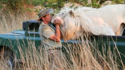 The Lion Man: African Safari