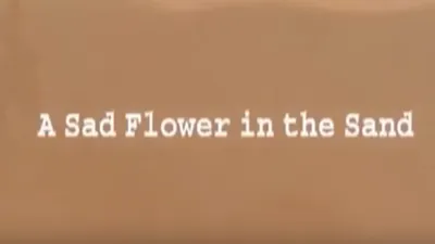 A Sad Flower in the Sand