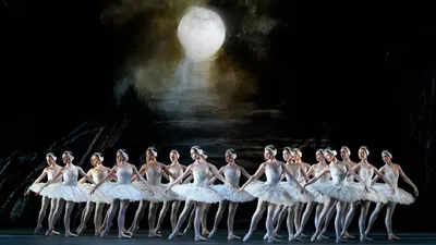 Swan Lake