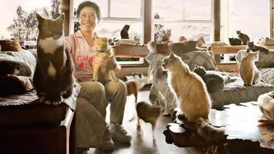 The Lady with 700 Cats