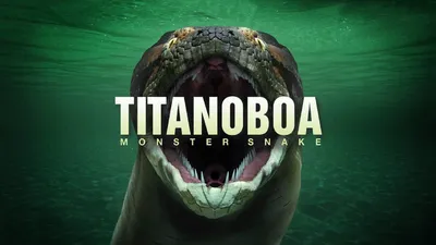 Titanoboa: Monster Snake