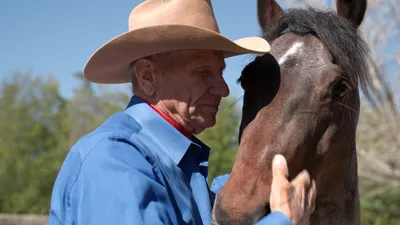 The Cowboy and the Queen