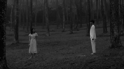 Beneath The Tall Tree's Gaze