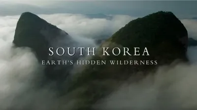 South Korea: Earth's Hidden Wilderness