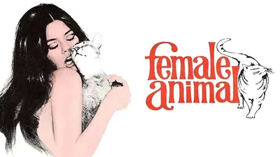 Female Animal