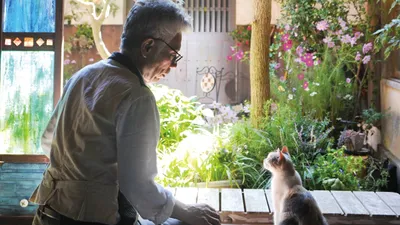 Teacher and Stray Cat