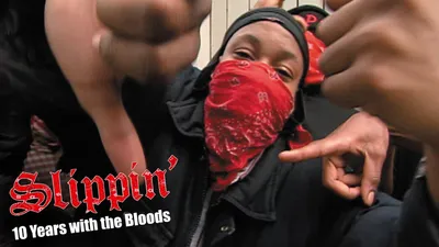 Slippin': Ten Years with the Bloods