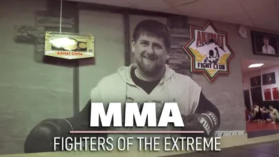 MMA: Fighters of the Extreme