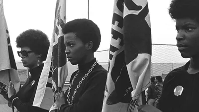 The Black Panthers: Vanguard of the Revolution