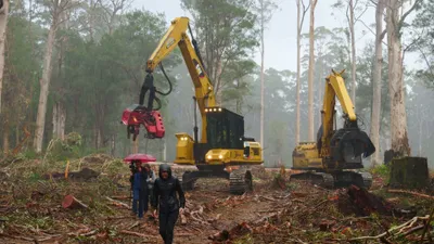 Cry of the Forests - A Western Australian Story