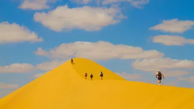 Desert Runners