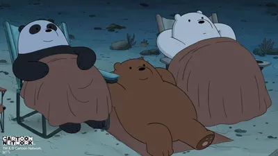 We Bare Bears Film: Bear Brothers