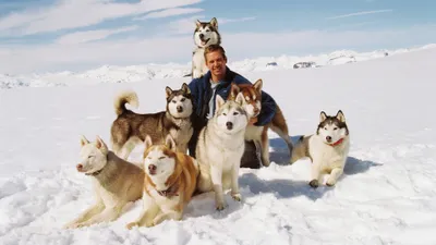 Eight Below