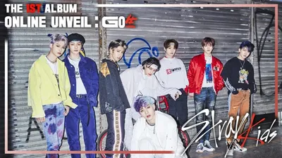 Stray Kids ＜ONLINE UNVEIL  GO生＞