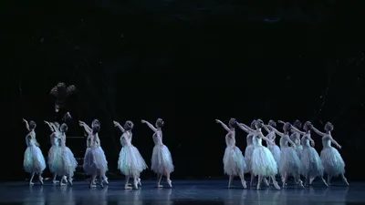 Swan Lake