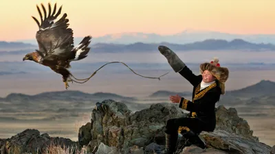 The Eagle Huntress