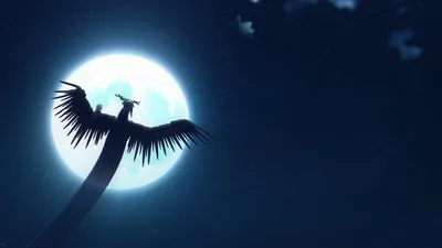 The Brightest Star