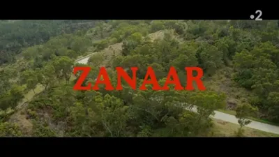 Zanaar