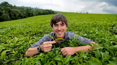 The Tea Trail with Simon Reeve