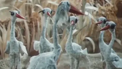 When Do the Storks Arrive