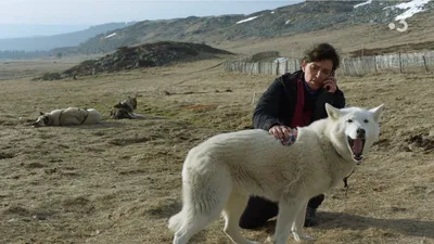 La doc et le véto : En chiens de faïence