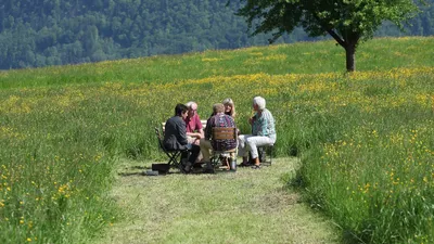 Falten - Eine Auseinandersetzung mit dem Älterwerden