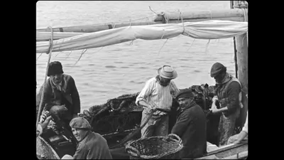 Sardine fishing