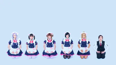 Akiba Maid War