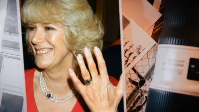 Queen Camilla: the Wicked Stepmother?